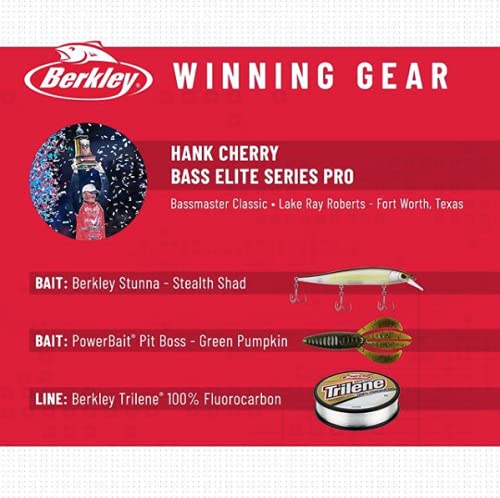 Berkley Stunna Fishing Hard Bait, Hankie Pankie, 112mm - 1 (1/2 oz)