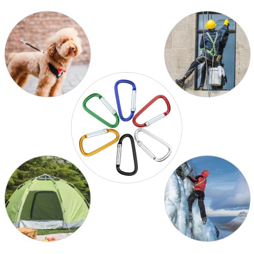12 Pack Aluminum Carabiners with Keychains - D Ring Snap Hooks