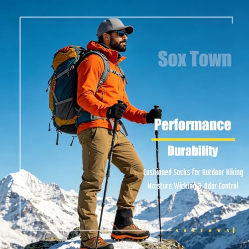 SOX TOWN Merino Wool Socks for Men Heavy Cushion Crew Outdoor Hiking 2 Pairs Large Mixcolor1