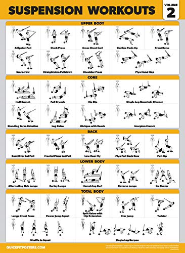 Palace Learning 4 Pack Suspension Workout Posters Volume 1–3 + Bodyweight Chart (Laminated, 18x24)