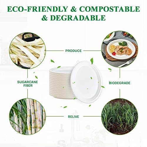 Vplus 12-Inch Compostable Oval Paper Plates 125 Pack White - Eco-Friendly Disposable Dinnerware