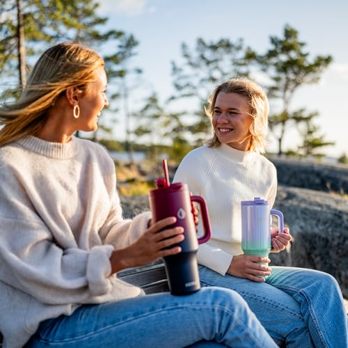 Hemli 40oz Insulated Stainless Steel Tumbler with Handle & Straw - Red Purple