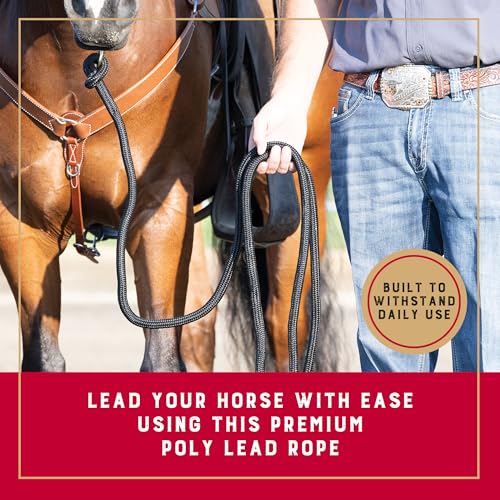 10' Black Horse Lead Rope with Brass Snap - Comfortable Grip