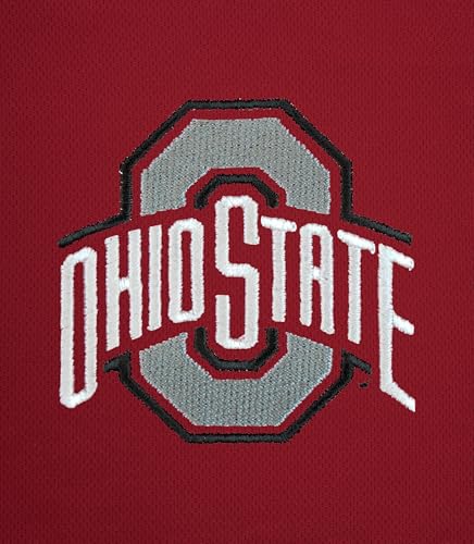 Men's Polyester Mesh Polo Shirt with Team Icon Graphic