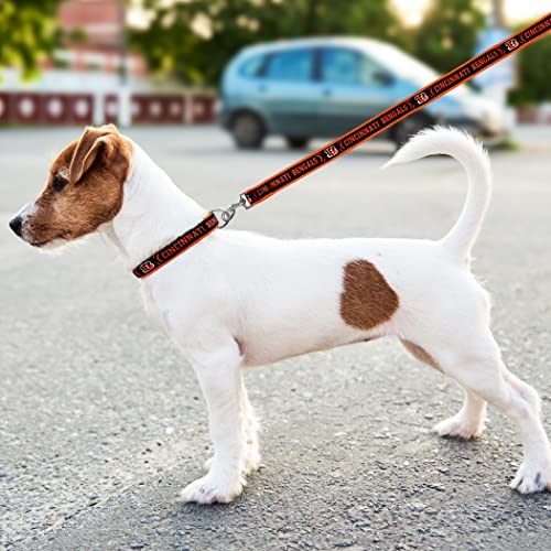 NFL Cincinnati Bengals Dog Collar - Medium, Heavy-Duty & Durable