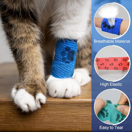 2" Self Adhesive Bandage Wraps - 6 Pack with Paw Prints B