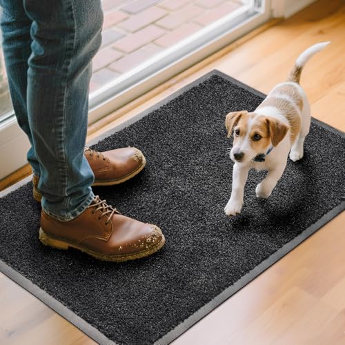 Front Door Mat, Heavy Duty Door Mat Outside Entrance for Indoor Outdoor Use, Machine Washable Low Pile Non Slip Rubber Back Entry Rug for Dogs and Indoor Entrance