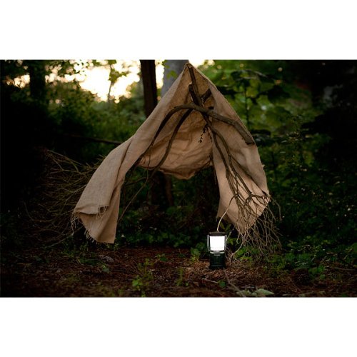 Rayovac Sportsman 3D LED Camping Lantern, 305 High Lumens, Water Resistant, Battery Powered 70 Hour Run Time, Lanterns for Camping