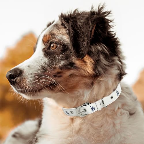 Premium Los Angeles Dodgers Dog Collar - Medium 16-20" Adjustable