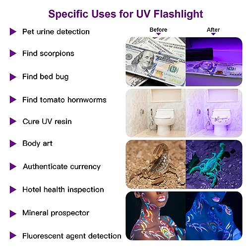 UV Flashlight - 12 LED 395nm Handheld Black Light - Silver