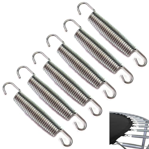 Stainless Steel Trampoline Springs Replacement - 5.5 Inch, 6 Pack