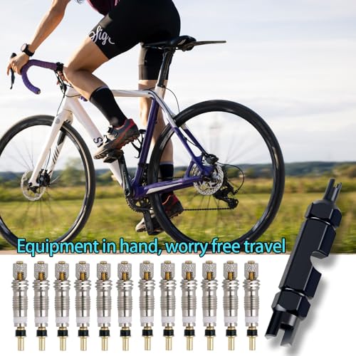 Presta Valve Core Removal Tool Kit - 12 Brass Cores & Tool - Black