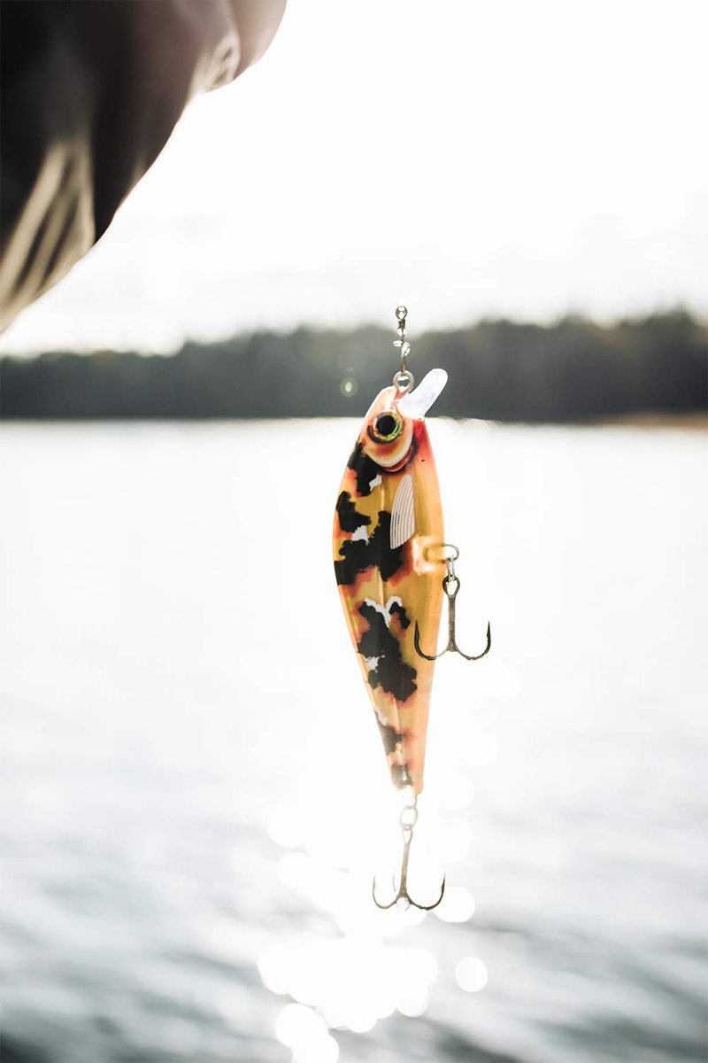 Rapala Unisex's Super Shadow Rap Lure, Live Perch, 16