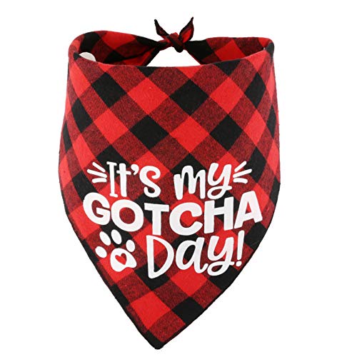 Dog Birthday Bandana - Gotcha Day & Adoption Pet Scarf