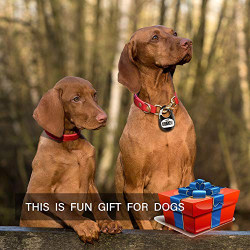 3D Step Counter Pedometer for Walking - Black