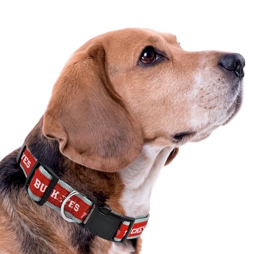 Ohio State Buckeyes Dog Collar - Medium NCAA Licensed Pet Collar