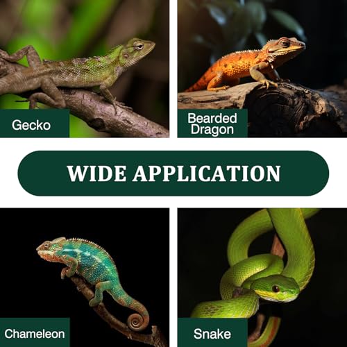 Swirge Adjustable Snake Climbing Pole - 19.7 to 35.4 Inch Pet Reptile Enrichment Toy, Variation of Climbing Ploe 19.7IN