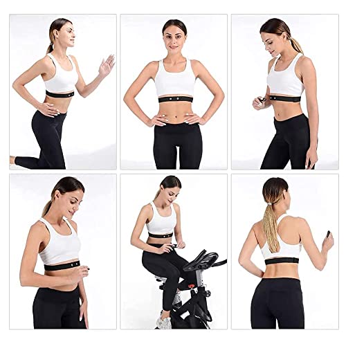 Heart Rate Monitor Replacement Strap - Black, Medium Size
