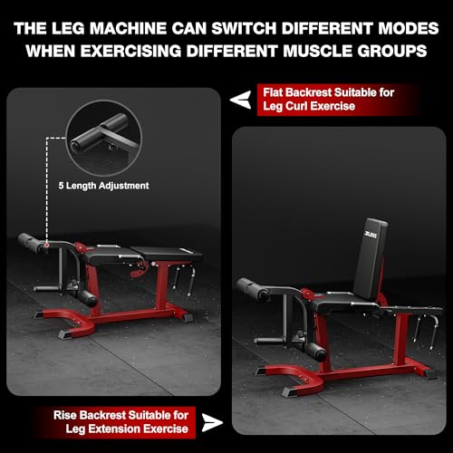 Leg Extension and Curl Machine - Adjustable Home Gym Equipment - Black/Classical