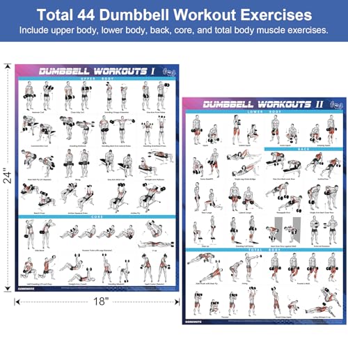 Dumbbell Workout Poster Set (2 Pack) - 44 Exercises, 18" x 24"