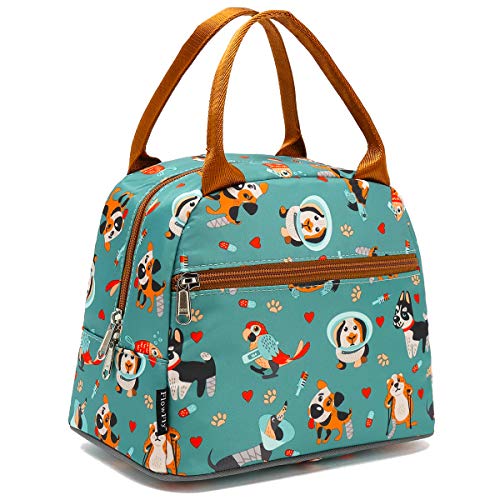 Insulated Lunch Cooler Bag - Tote Organizer for Dog