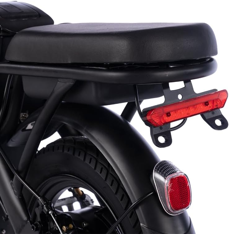 Skiennix 14-Inch Folding Electric Bicycle - 330 lb Load Capacity, 19 mph Speed, 48V Battery, Ideal for City Commuting