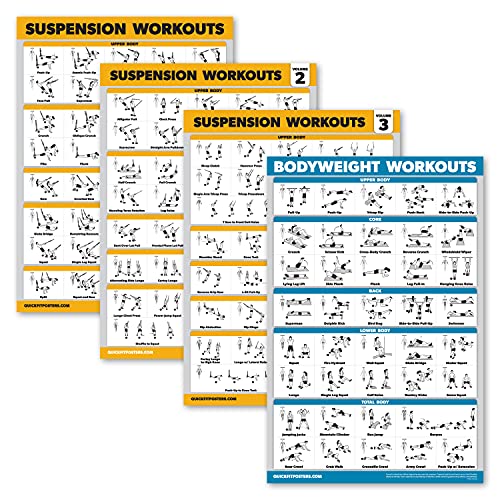 Palace Learning 4 Pack Suspension Workout Posters Volume 1–3 + Bodyweight Chart (Laminated, 18x24)