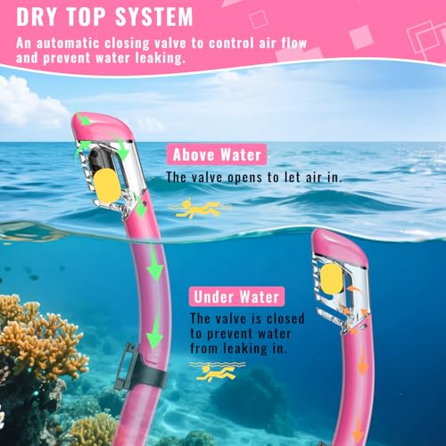 Snorkeling Gear Set for Adults - Dry-Top Snorkel & Mask - Black+Pink
