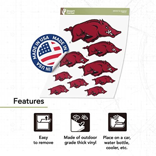 Arkansas Razorbacks T3-1 Desert Cactus Vinyl Sticker Decal College Fan Gear