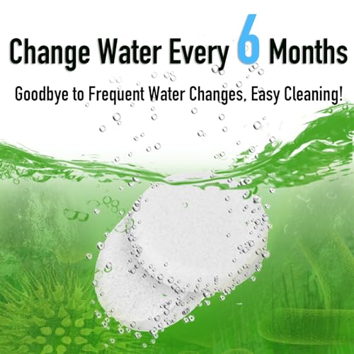 Water Purification Tablets for Rowing Machines - 8 Tablets