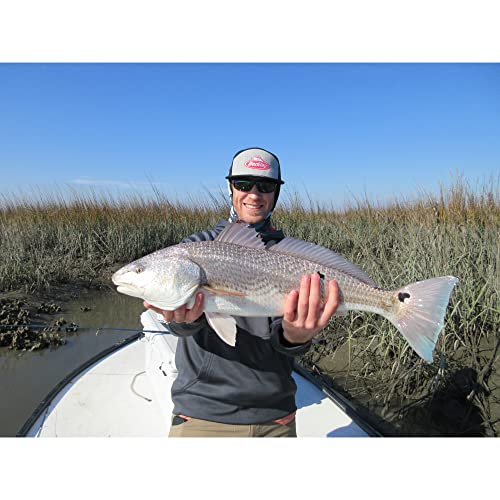 Berkley Saltwater Inshore Fishing Bait Gift Kit