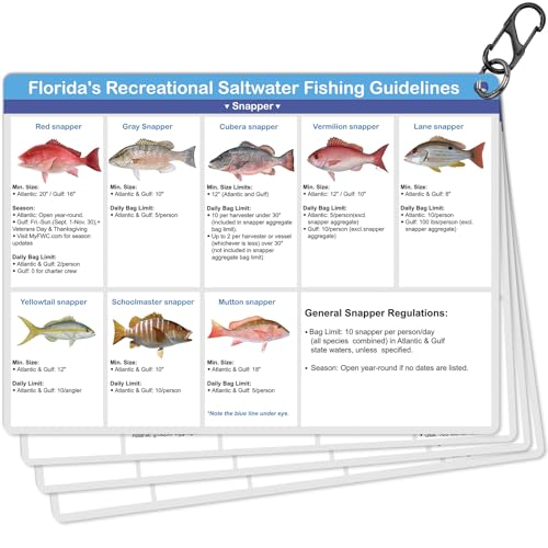 Florida Saltwater Fishing Guide Cards - Waterproof Quick Reference Set