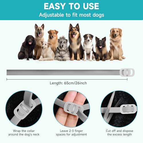 Flea & Tick Collar for Dogs – 4-Pack, 32 Months Protection, Adjustable