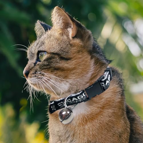 Chicago White Sox Durable Cat Collar with Jingle Bell