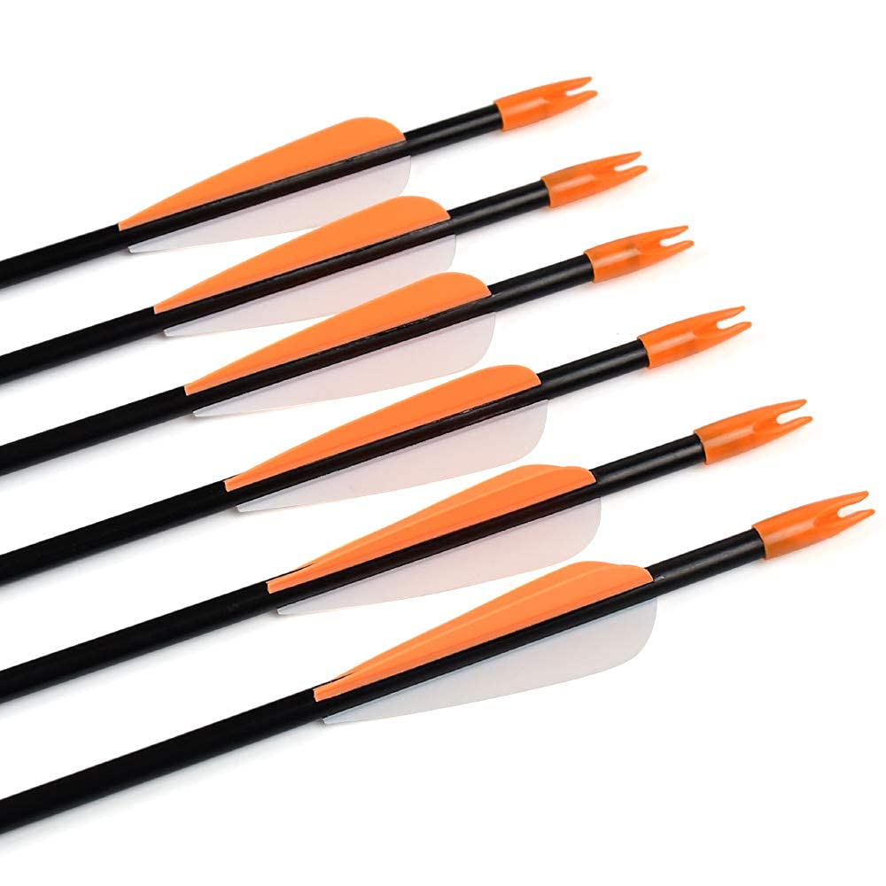 Fiberglass Practice Arrows Archery 28 Inch Target Shooting Safetyglass Recurve Bows Suitable for Youth Woman Beginner 6PCS