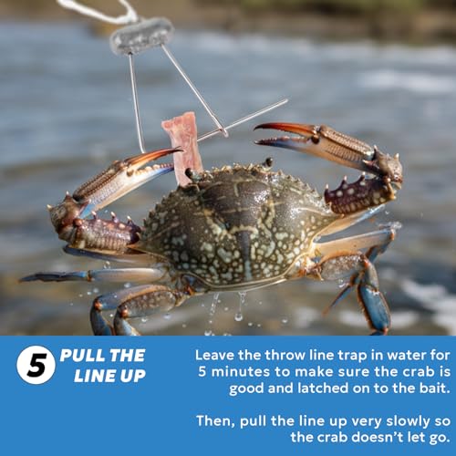 30FT Crab Trap Line Kit with 1.2OZ Weight - 3PCS Ctl007-3