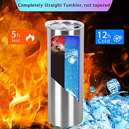 Silver 20 Oz Stainless Steel Skinny Tumbler Set - Travel & DIY Gift, 4 Pack