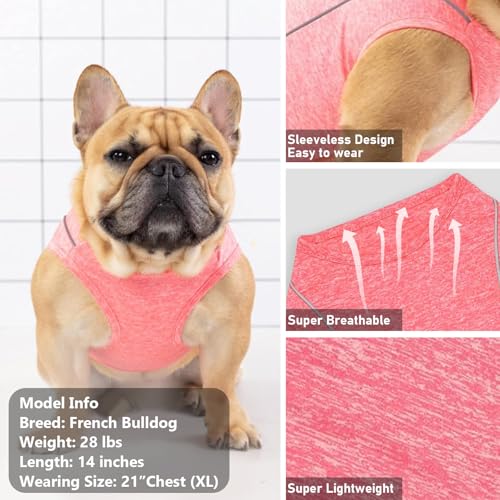 Reflective Dog Shirt for Small Dogs - Lightweight Sun Protection Tank Top - Coral Red, Size S
