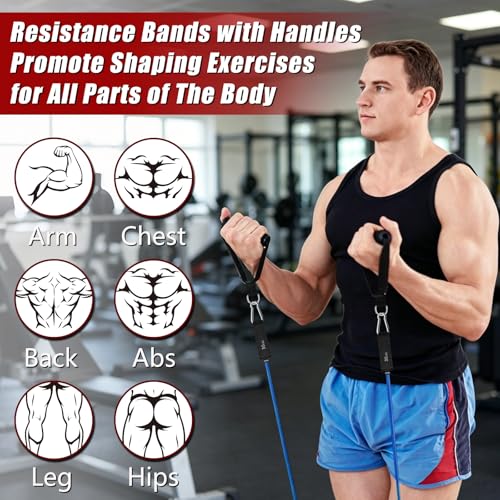 Bourid Resistance Bands with Handles - 5 Levels 10-50 lb, 150 lb Total