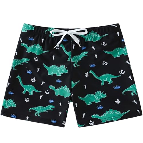 Boys Swim Trunks Quick Dry Board Shorts - Black Dinosaur, 3-4T