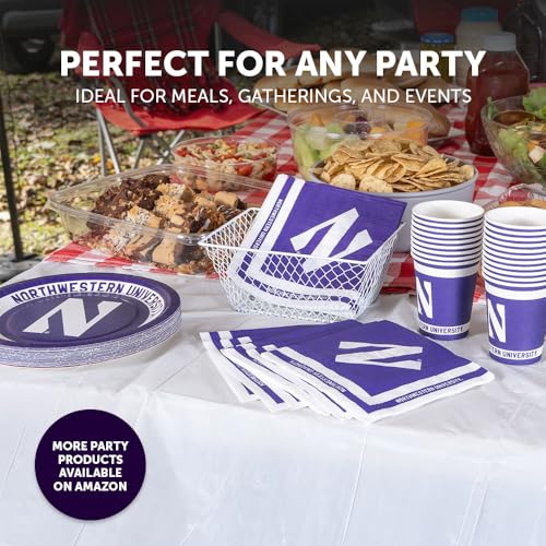 Northwestern University Paper Plates - 20 Count, 9 Inch Round