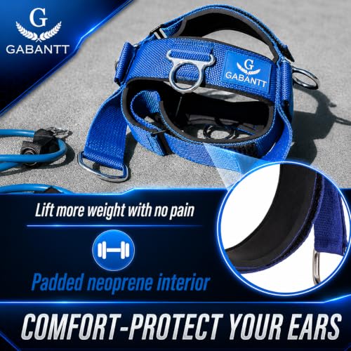 Neck Trainer Harness with Resistance Bands & Weight Lifting Kit