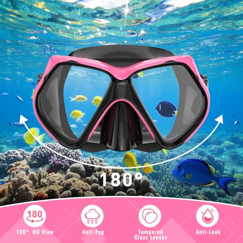 Snorkeling Gear Set for Adults - Dry-Top Snorkel & Mask - Black+Pink