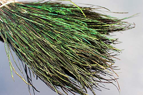 400 Strands Natural Peacock Herl Feathers for Fly Tying