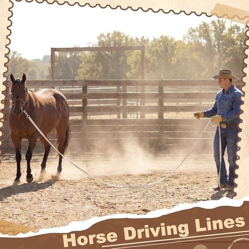 45 Ft Nylon Horse Driving Lines with Leather Wrapped Handle, Solid Brass Trigger Snaps — 2 Pack, White
