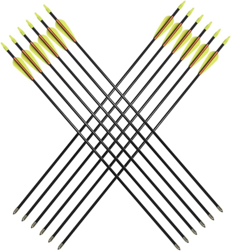 Practice Fiberglass Arrows - Archery Target Shooting for Youth & Beginners | 24/26/28/30 Inch, 6/12 Pack