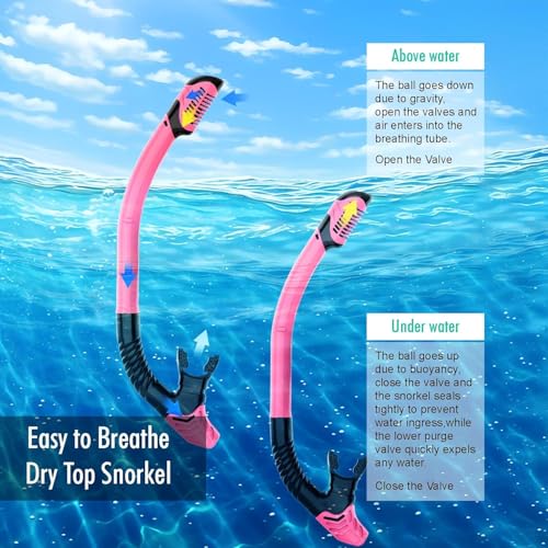 Snorkeling Gear Set for Adults - Anti Fog Goggles & Dry Snorkel - Black+Pink