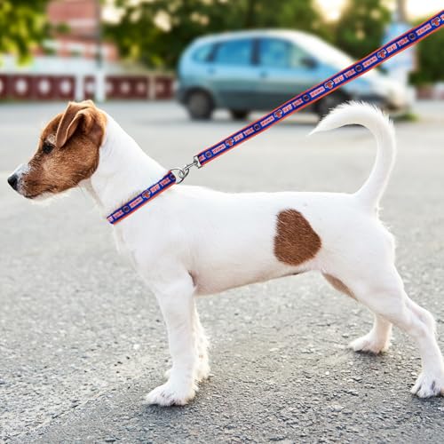 NBA Dog Collar - New York Knicks Medium Pet Collar for Dogs & Cats