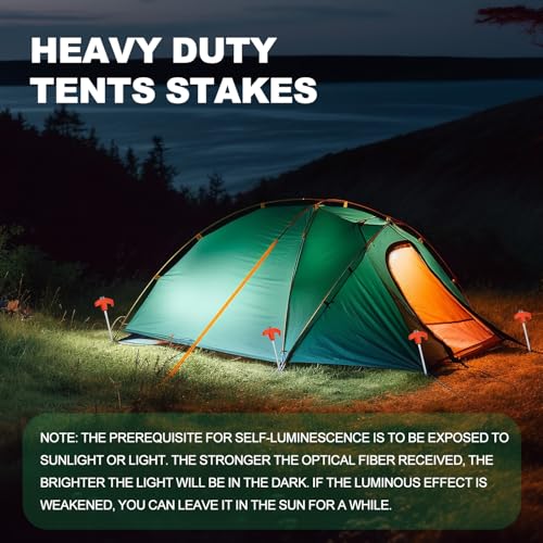 YIYAO 20 Pack Heavy Duty Screw-in Tent Stakes 8 Inch Ground Anchors with Storage Box (Orange)