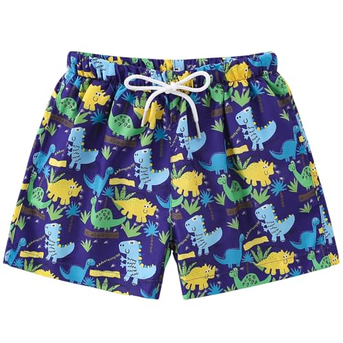 Toddler Boy Swim Trunks Quick Dry Board Shorts with Pocket - 2-3T Purple Dino